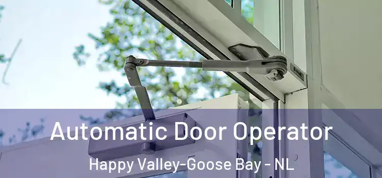 Automatic Door Operator Happy Valley-Goose Bay - NL