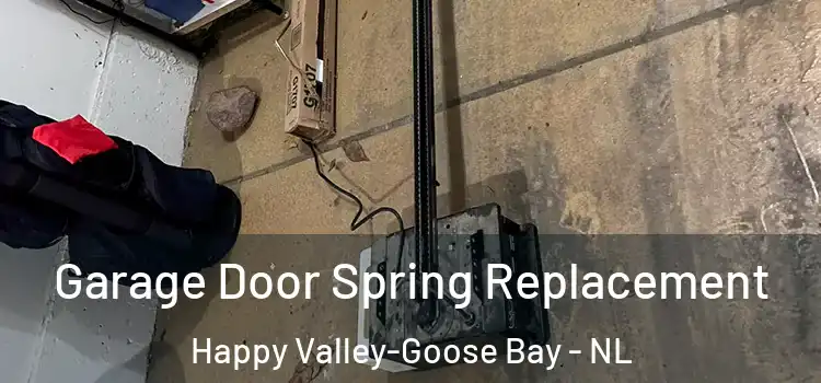  Garage Door Spring Replacement Happy Valley-Goose Bay - NL